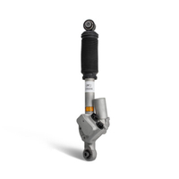 Amortiguador Mercedes Clase G W463 AMG Trasero Izquierdo con ADS A4633203101,  A4633206101