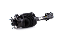 Amortiguador Neumático Lexus RX XU30 2004 - 2008 Delantera Izquierda 4802048050,  48020-48050