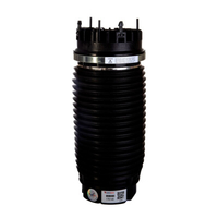 Balona Neumática Dodge RAM 1500 2019 - 2025 Trasera 68260938AA,  68260938AB