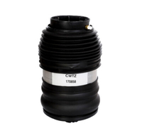 Balona Neumática Mercedes Clase E W214 / S214 Trasera Izquierda A2063205902,  A-206-320-59-02