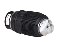 Balona Neumática Trasera Mercedes E W211 AMG A2113201225,  A2113201325