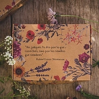 Caja de seis bombas de semillas de flores