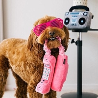 Juguete para perro. Colección Retro