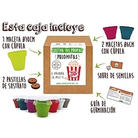 Kit para cultivar maíz