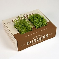 Kits de cultivo de brotes para hamburguesas,  tacos o sushi