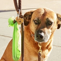 Luz led y colgador de bolsas para correa de perro