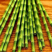Pajitas de Papel Bamboo Pequeñas