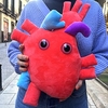 Peluche corazón anatómico XL con mini peluches extraíbles