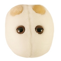 Peluche de Microbio Cerveza y Pan