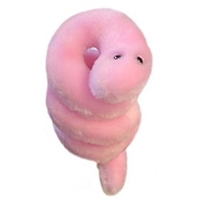 Peluche de Microbio Sífilis