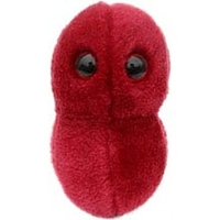 Peluche Microbio Faringitis