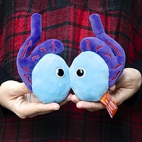 Peluche original con forma de testículos