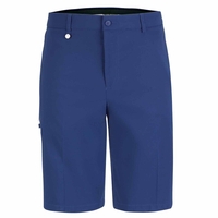 GOLFINO Albatross Shorts,  Male,  Purple,  48,  Regular