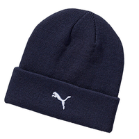 PUMA Golf Control Beanie,  Male,  One size,  Peacock