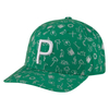 PUMA Golf Desert P110 Snapback Cap,  Male,  One size,  Amazon green