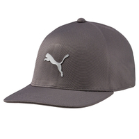 PUMA Golf EVOKNIT Fitted Cap,  Male,  Medium/large,  Quarry