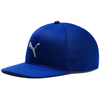 PUMA Golf EVOKNIT Fitted Cap,  Male,  One size,  Sodalite blue