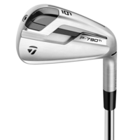 TaylorMade P790 Ti Steel Irons,  Male,  Regular,  Right hand,  5-pw (6 irons),  Steel